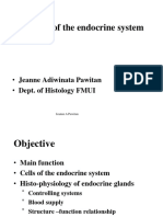Histology of The Endocrine System