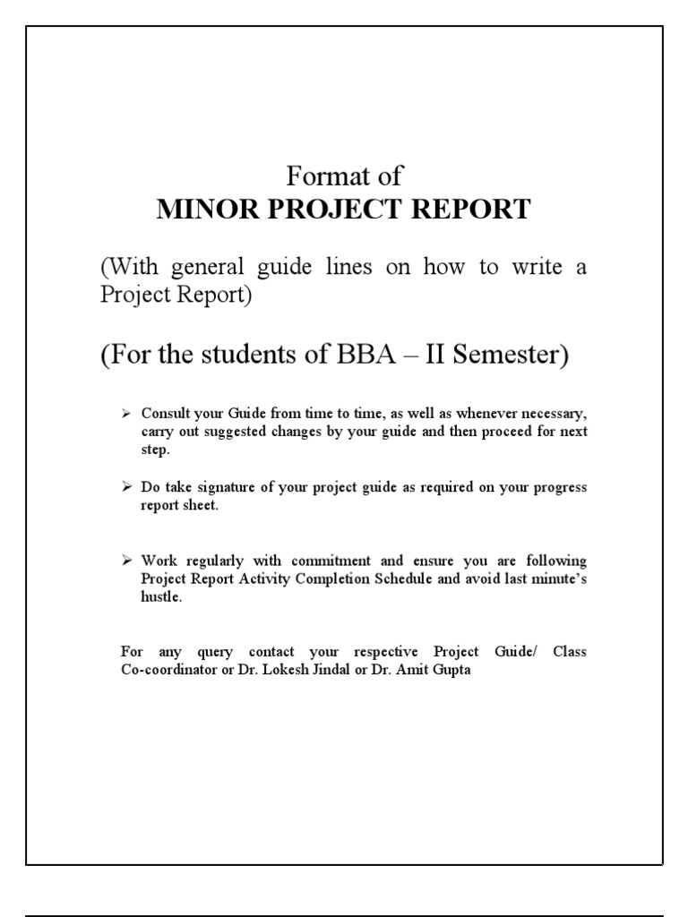 Bba Project 2nd Yr Minor Report | PDF | Corporate Social Responsibility ...