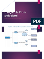 Cirugía de Ptosis Palpebral