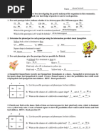 alyssa particelli - spongebob genetics 1