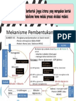 Biologi Bilirubin