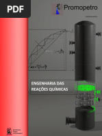 Engenharia Das Reações Químicas