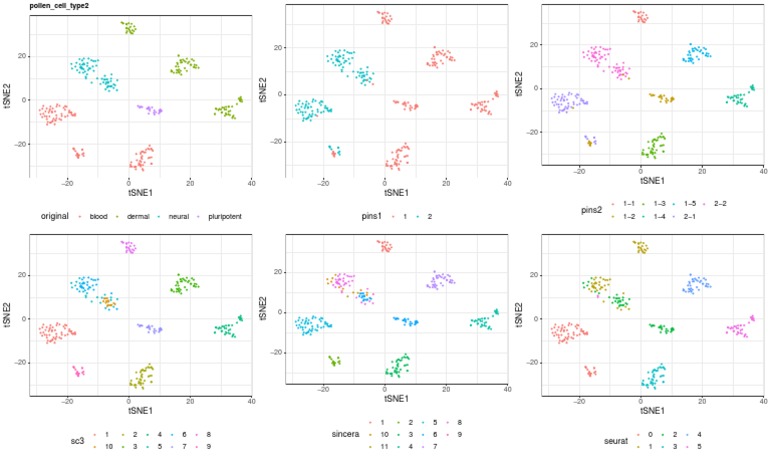 Pollen tSNE Type2 PDF | PDF | Cells | Cell Biology