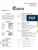 FORMATO DE CV 2019.docx