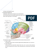 Sistematika Membaca Ct-scan