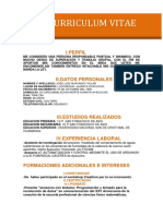 8 Curriculum Vitae Profesional Naranja