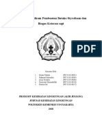 Tugas Praktikum Biogas Dan Styrofoam