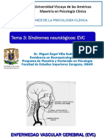 2013 3 Sindromes Neurologicos Evc