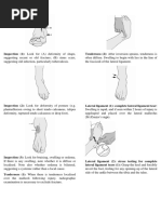 Ankle Examination Orthopaedics Mcrae