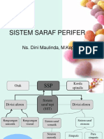 Sistem Saraf Perifer 2018