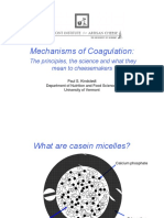 2011-Mechanisms-of-Coagulation-Kindstedt.pdf
