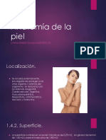 Anatomia de La Piel