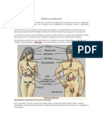 254340691 Anatomia de La Piel Pptx