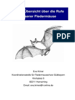 rufe_einheimischer_flederm_use.pdf