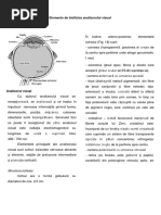 Curs 8 Elemente de Optica Biologica