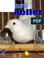 289022433-Revista-Roller.pdf
