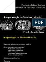 LMF 6 - AULA - Imagenologia Do Sistema Urinario - Prof - Romulo Gama