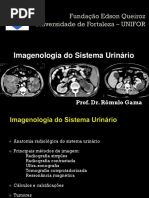 LMF 6_AULA_Imagenologia Do Sistema Urinario_Prof.romulo Gama