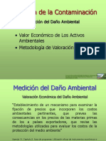 DAÑO AMBIENTAL