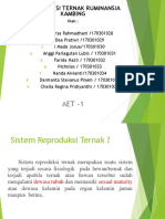 PTN Reproduksi Ternak