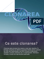 Clonarea