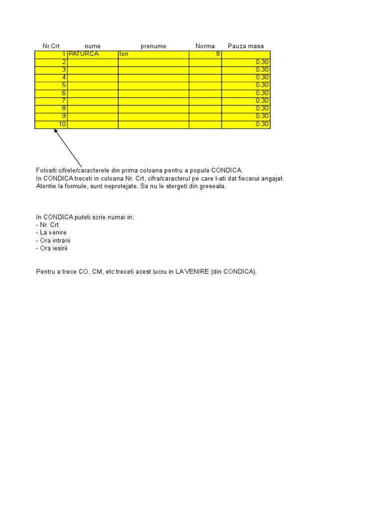 Condica Prezenta Pontaj Model | PDF