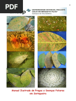 7 - Preparo de Meios