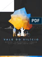VALE DO SILICIO - O Livro.pdf