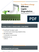 From Plants To Energy:: Efficient Lignin Degradation