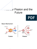 Nuclear Fission and The Future