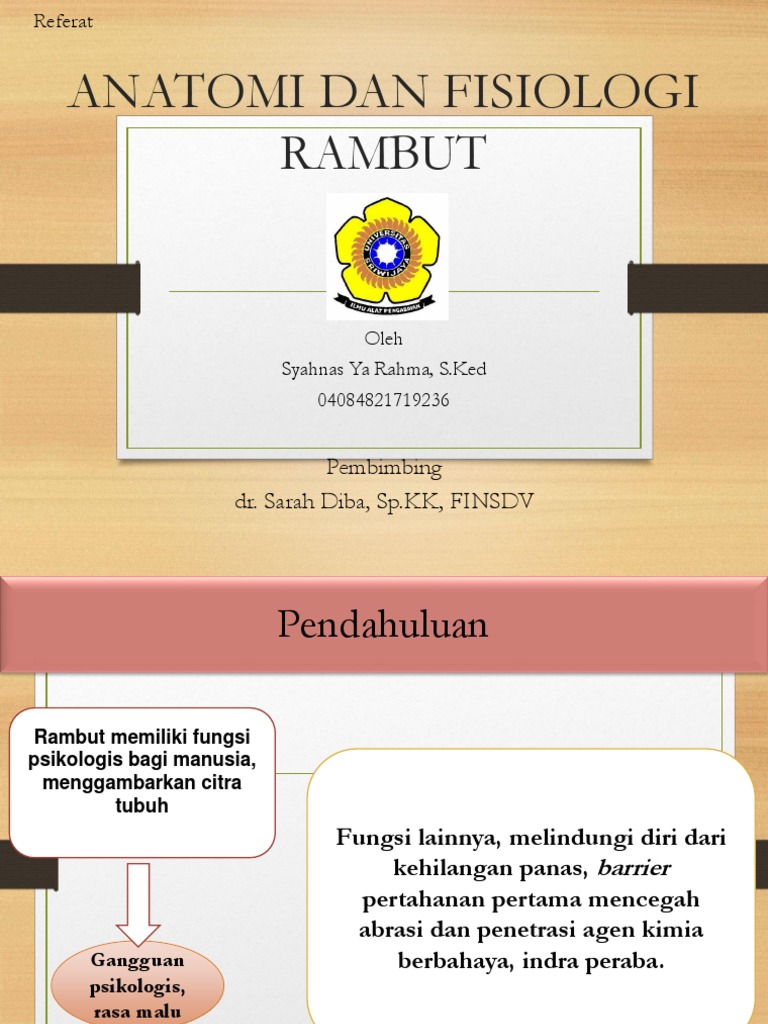 Anatomi Dan Fisiologi Rambut | PDF