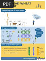 Biology of Okra 1