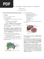 Histologia Do Fígado, Pâncreas e Vias Biliares
