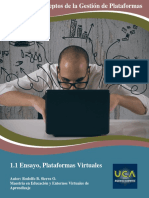 Rsierra - 1.1 Ensayo, Plataformas Virtuales