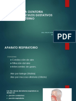 ÁCIDOS+GRASOS+OMEGA-3+EN+LAS+ENFERMEDADES