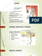 Clase 17 Neurologia