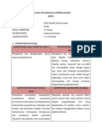 RPP Asli Yang Dianalisis