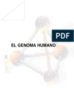 genoma.pdf