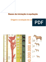 BIE 1 011009 Origemxc e Evolucao Do Cavalo.ppt
