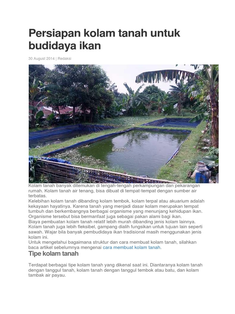 bisnis perikanan modal kecil persiapan kolam budidaya ikan