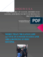 Gangs in U.S.A: The History of Gangs, Modern Day Gangs, and How Society Is Trying To Prevent Them