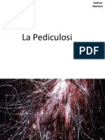 La Pediculosi