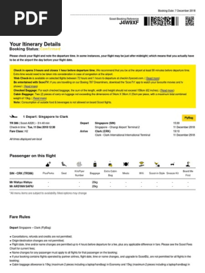 scoot carry on baggage liquid