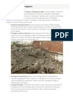 4 Formas de Matar Formigas sem Pesticidas - wikiHow.pdf