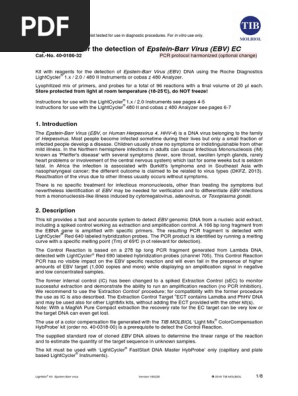 Epstein-Barr Virus EBV test