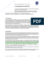 LightMix Cytomegalovirus HCMV