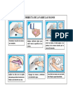 Procedimiento de Lavado