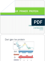 Struktur Primer Protein