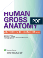 Atlas de Anatomia Anthony B. Olinger