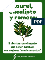 Laurel, Eucalipto y Romero: 3 Plantas-Condimento Que Serán También Sus Mejores "Medicamentos"